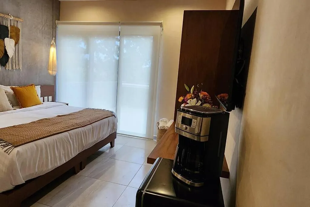 טולום Studio Con Terraza, Pileta Y Bano Completo