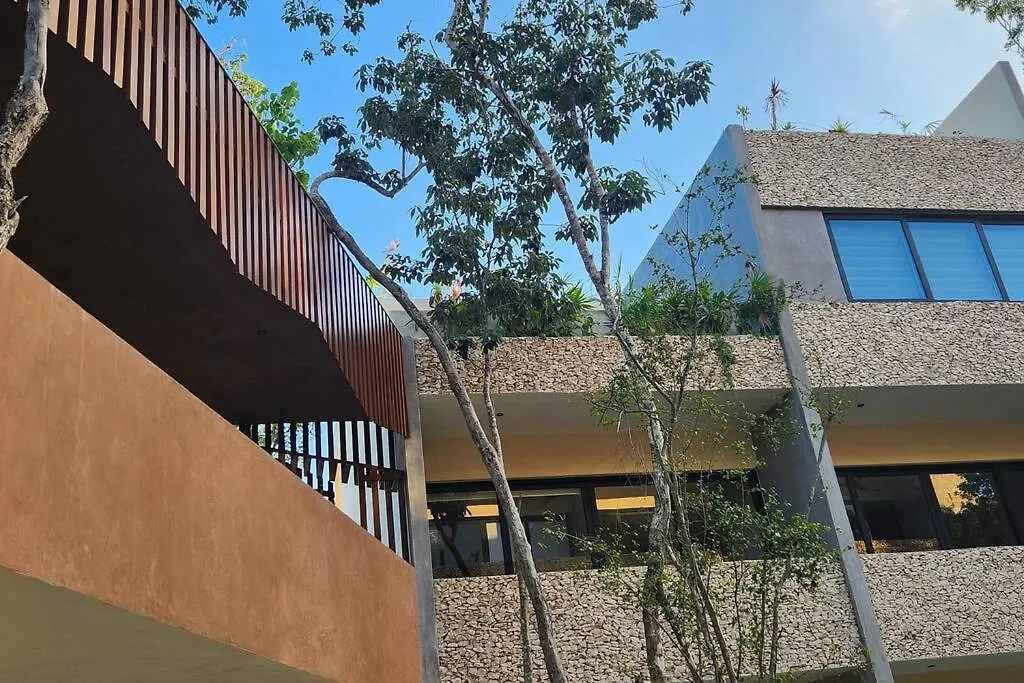 טולום Studio Con Terraza, Pileta Y Bano Completo דירה